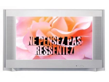 Renier l'Homme ou l'individu, telle est la question...